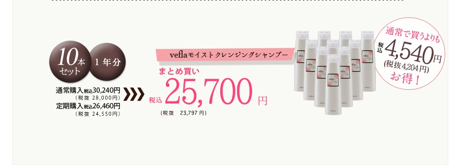 veflaモイストクレンジングシャンプー10本セット21,000円