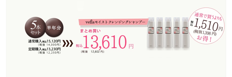 veflaモイストクレンジングシャンプー5本セット11,550円