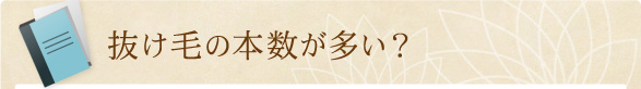 抜け毛の本数が多い？