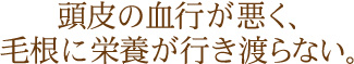 頭皮の血行が悪く、毛根に栄養が行き渡らない。