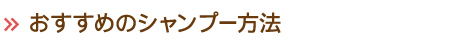 おすすめのシャンプー方法